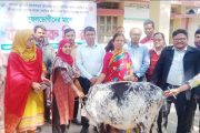 চিরিরবন্দরে ক্ষুদ্র নৃ-গোষ্ঠীর মাঝে বকনা গরু বিতরণ