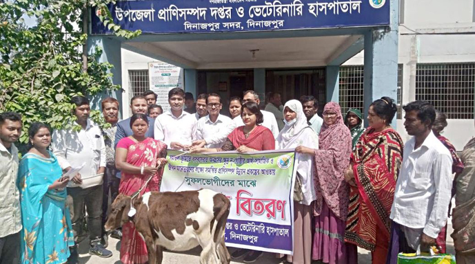 দিনাজপুরে সমতল ভূমিতে বসবাসরত ক্ষুদ্র নৃ-গোষ্ঠীর সদস্যদের মাঝে বকনা গরু বিতরণ