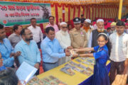 ফুলবাড়ীতে নানা আয়োজনে মহান স্বাধীনতা ও জাতীয় দিবস পালন
