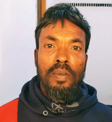 ধুনটে ইছামতি নদীর চরে মরিচের সাথে গাঁজা চাষ, কৃষক গ্রেপ্তার