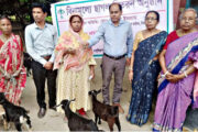 দিনাজপুরে অন্বেষন সংস্থার উদ্যোগে বিনামূল্যে ২১ জন উপকারভোগীর মাঝে ৪২টি ছাগল বিতরণ
