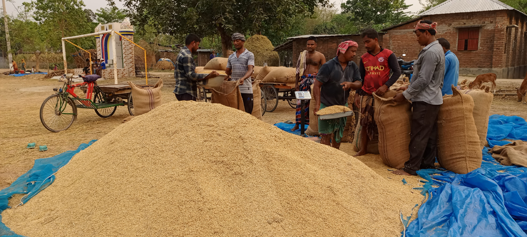 IMG_20240517_173140_542@1858580263