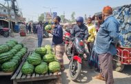 ফুলবাড়ী বাজারে উঠছে তরমুজ