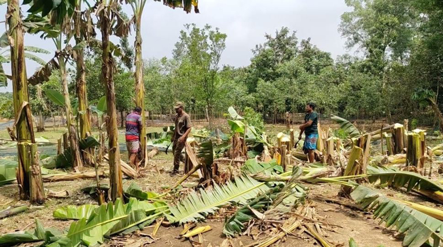 ঐতিহাসিক দারোগা বাগানের ৩ একর জমি উদ্ধার করলেন বন বিভাগ