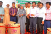 বগুড়ায় ধান-চাল ও গম সংগ্রহের উদ্বোধন