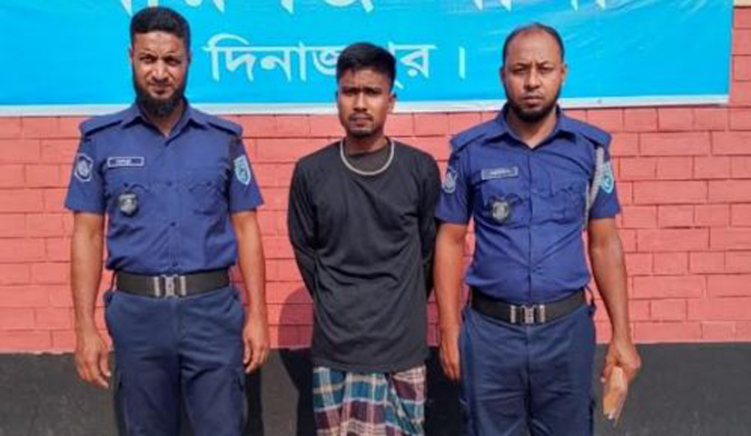 বীরগঞ্জে ট্যাপেন্টাডল বড়িসহ ১ মাদক কারবারি গ্রেপ্তার