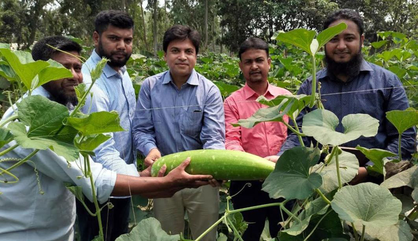 বিরলে মাঠ দিবস ও প্রদর্শনী অনুষ্ঠিত