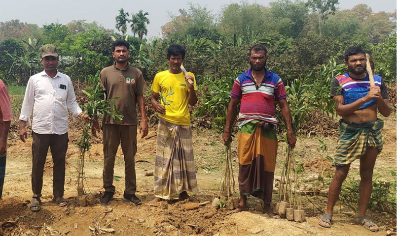 বন বিভাগের জমি  দখলমুক্ত করে, বৃক্ষ রোপন