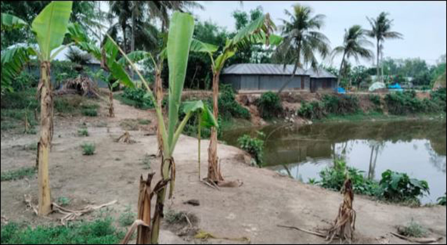 ধুনটে সরকারি জায়গা থেকে ভূমিহীনদের উচ্ছেদের অভিযোগ