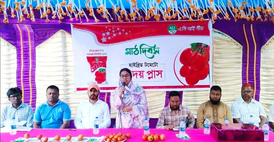দিনাজপুরে শতাধিক টমেটো চাষীদের নিয়ে এসিআই সীড এর মাঠ দিবস