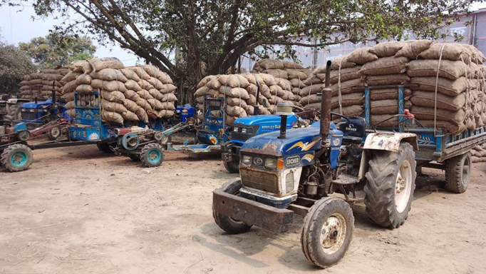 ঘোড়াঘাটে পানির দরে আলু বিক্রি,পথে বসেছে আলু চাষীরা