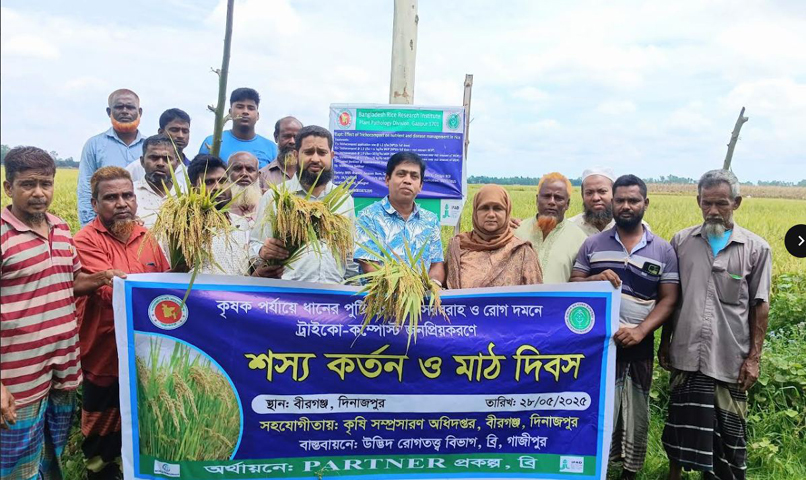 বীরগঞ্জে শস্য কর্তন ও মাঠ দিবস অনুষ্ঠিত
