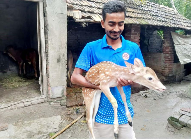 দুপচাঁচিয়ায় নাগরনদের বাঁধ থেকে হরিণ শাবক উদ্ধার