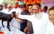 পাঁচবিবিতে শহীদ জিয়া স্মৃতি ক্রিকেটের সমাপণী