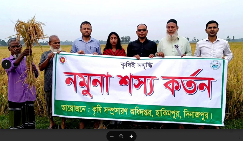 হিলিতে ব্রি ধান ১০১ এর নমুনা শস্য কর্তনের উদ্বোধন
