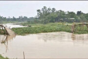 রৌমারীতে কাঠের সাঁকো ভেঙে দুর্ভোগে ৩০ হাজার মানুষ