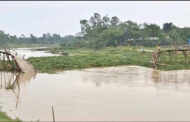 রৌমারীতে কাঠের সাঁকো ভেঙে দুর্ভোগে ৩০ হাজার মানুষ