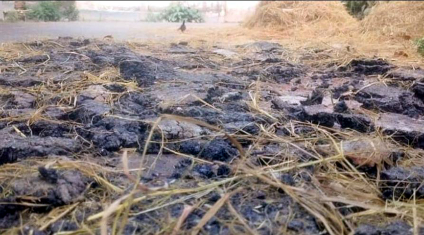 বদলগাছীতে এলজিইডির সড়ক তৈরীতে ব্যপক অনিয়মের অভিযোগ