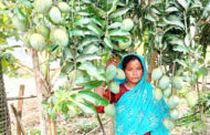পাঁচবিবিতে বাড়ির উঠানে ফল ও সবজি চাষে সাফল্য লক্ষ্মী রানীর