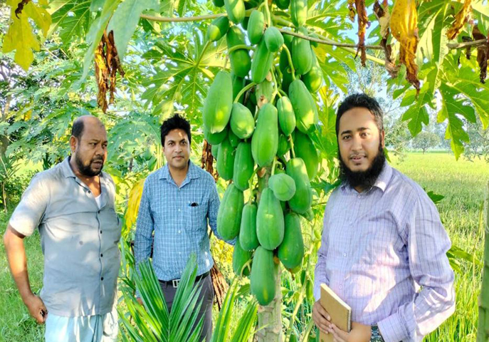 বিরলে মতিউর রহমানের মডেল কৃষি বাড়ি দেখতে আসছেন অনেকে
