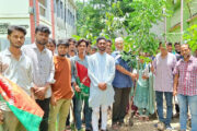 বীরগঞ্জ কলেজ ছাত্রদলের বৃক্ষরোপণ কর্মসূচি পালন