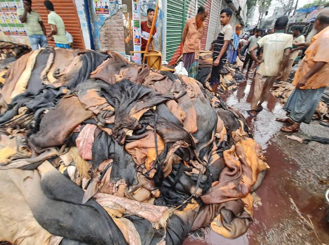 বগুড়ায় চামড়ার বাজারে ধস, খাসির চামড়া ৫ টাকা