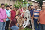 শিবগঞ্জে বৃক্ষ রোপণ করলো জাতীয় অনলাইন প্রেসক্লাব