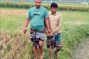 বগুড়ায় কৃষক ছদ্মবেশে ধানক্ষেত থেকে সাজাপ্রাপ্ত আসামি ধরলো পুলিশ