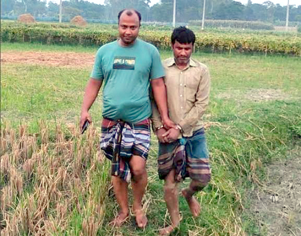 বগুড়ায় কৃষক ছদ্মবেশে ধানক্ষেত থেকে সাজাপ্রাপ্ত আসামি ধরলো পুলিশ