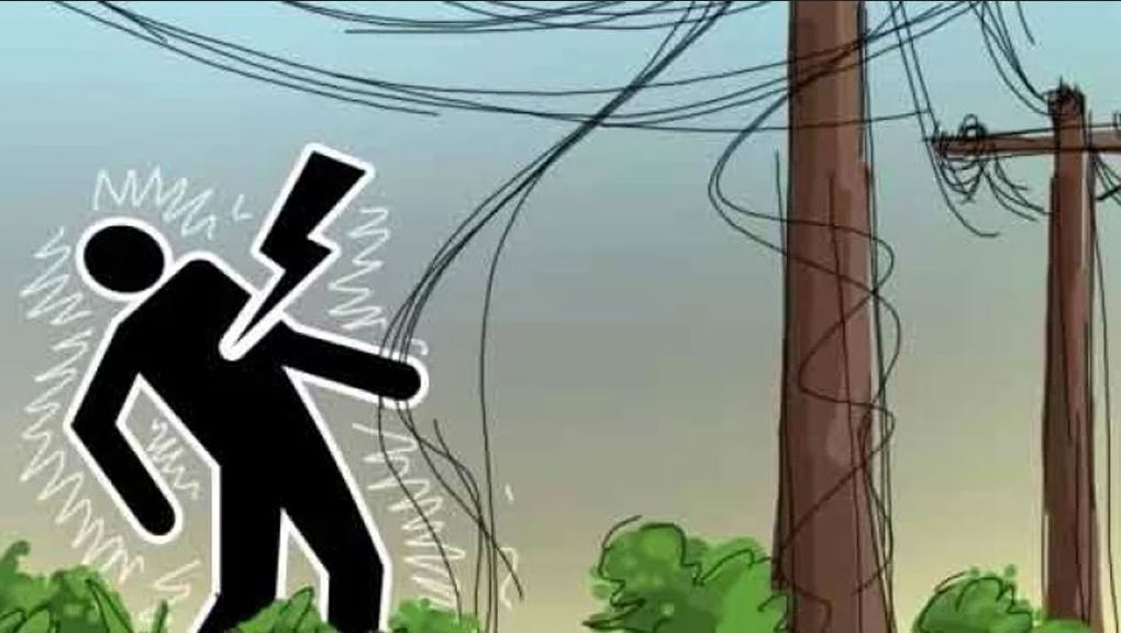 বীরগঞ্জে বিদ্যুৎস্পৃষ্ট হয়ে কৃষি শ্রমিকের মৃত্যু