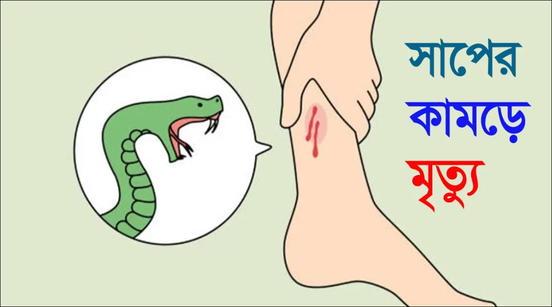 কুষ্টিয়ায় সাপের কামড়ে নারীর মৃত্যু