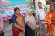 পাঁচবিবিতে গাছের চারা বিতরণ করে ব্র্যাক