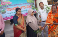 পাঁচবিবিতে গাছের চারা বিতরণ করে ব্র্যাক