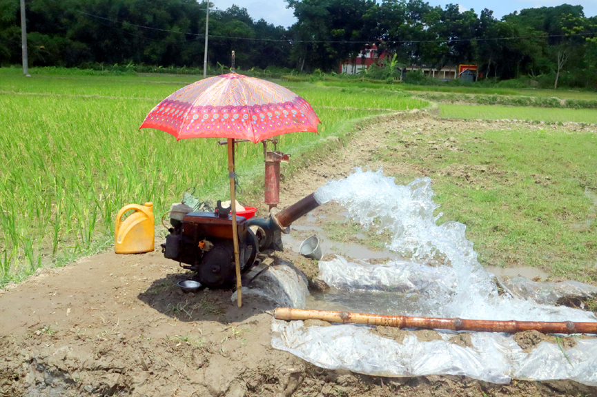 সেচ দিয়ে আমন চাষ, বাড়তি খরচের শঙ্কায় কৃষক