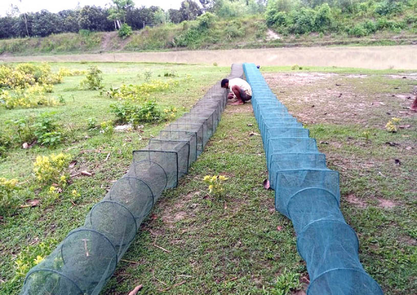 ফুলবাড়ীতে নিষিদ্ধ চায়না দুয়ারী জালে দেশীয় প্রজাতির মাছ নিধন