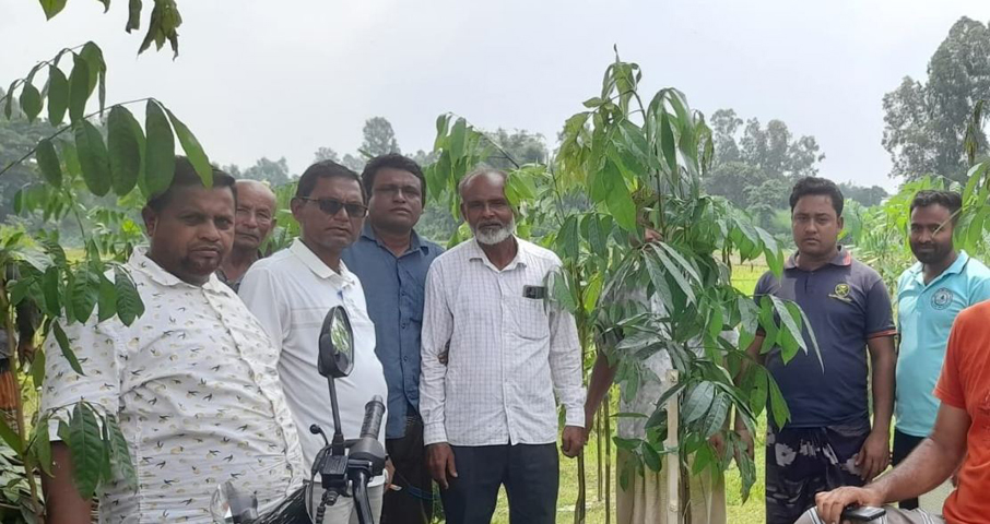 নবাবগঞ্জে বৃক্ষরোপণ কার্যক্রম শুরু