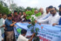 বিরলে একইদিনে ৯১ হাজার বৃক্ষ রোপণ