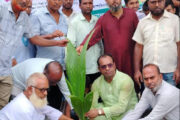 বিরলের বিভিন্ন শিক্ষাপ্রতিষ্ঠানে বৃক্ষরোপণ কর্মসূচিতে বজলুর রশিদ কালু এর অংশগ্রহণ