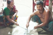 হাতি ঘোড়া তৈরি করেও সংসারের উন্নতি হচ্ছে না