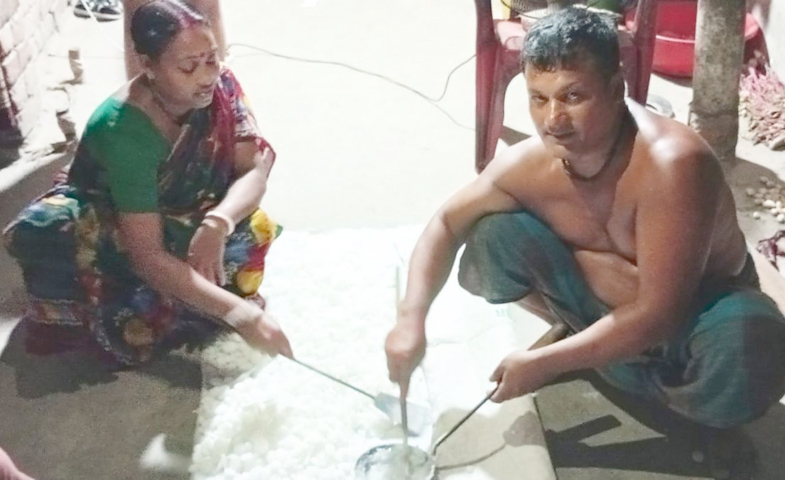 হাতি ঘোড়া তৈরি করেও সংসারের উন্নতি হচ্ছে না