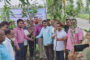 শেখপুরা ইউনিয়নে রোপন করা হচ্ছে ৭ হাজার গাছ