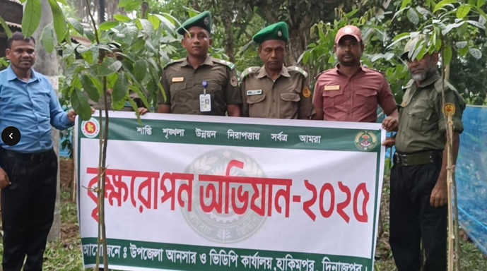 হাকিমপুরে আনসার ভিডিপির বৃক্ষ রোপণ কর্মসূচি
