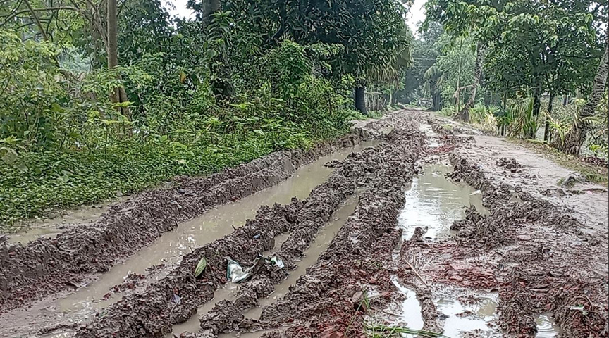 নাটোরে কাঁচা রাস্তার কারণে বিয়ে হচ্ছে না ছেলে-মেয়ের
