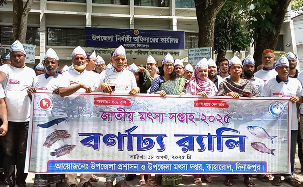 কাহারোলে জাতীয় মৎস্য সপ্তাহ-২০২৫ পালিত