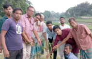 গণসংহতি আন্দোলন এর প্রতিষ্ঠাবার্ষিকী উপলক্ষে ফুলবাড়ীতে আলোচনা সভা ও বৃক্ষরোপণ