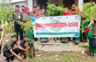 পাঁচবিবি আনসার ও ভিডিপি অফিসের বৃক্ষরোপণ