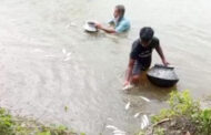 পাঁচবিবিতে শত্রুতায় ঘরে আগুন ও বিষ দিয়ে মাছ নিধন