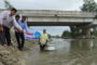 বীরগঞ্জে জলাশয়ে পোনামাছ অবমুক্তকরণ
