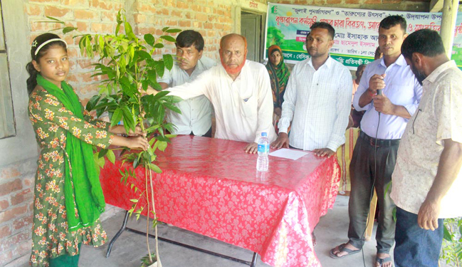 ফুলবাড়ীতে প্রতিবন্ধী শিশুদের মাঝে গাছের চারা বিতরণ