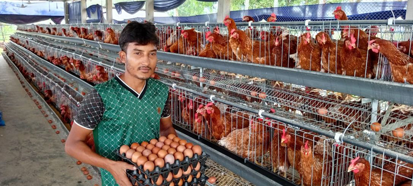 পাঁচবিবিতে আধুনিক মুরগির খামার : সফল খামারি শাহি হোসেন